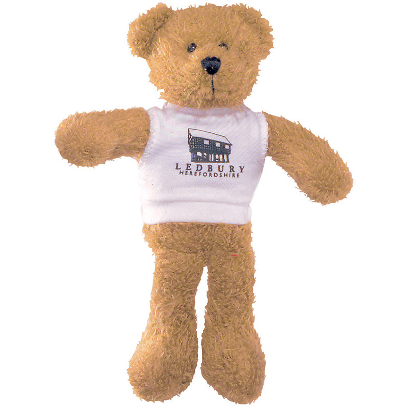 7inch Scraggy Bear with T Shirt