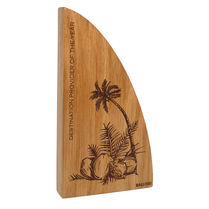 Real Wood Block Award