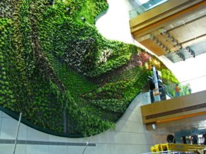 Hotel Living Wall